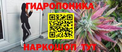 герыч Краснодар