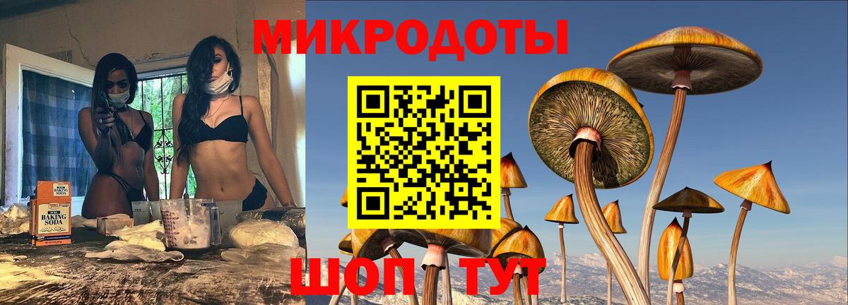 Псилоцибиновые грибы Magic Shrooms  Вход с VPN  Псилоцибиновые грибы мухоморы  Ейск 